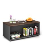 Jun Coffee/Center / TV Table  Rhine Dark Oak+Shatter Iron Grey        Melamine