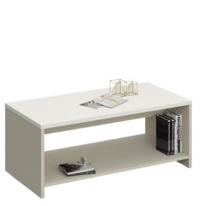 Paris Coffee / Center / TV Table 120cm White-Ash Gray Melamine